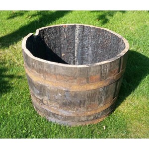 Blumenkübel aus einem originalen Whiskyfass (Ø 60 cm) auf Rasen.
