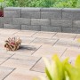 Diephaus Mauerstein Patea Eco Quarzit, graue Gartenmauer mit Bepflanzung.
