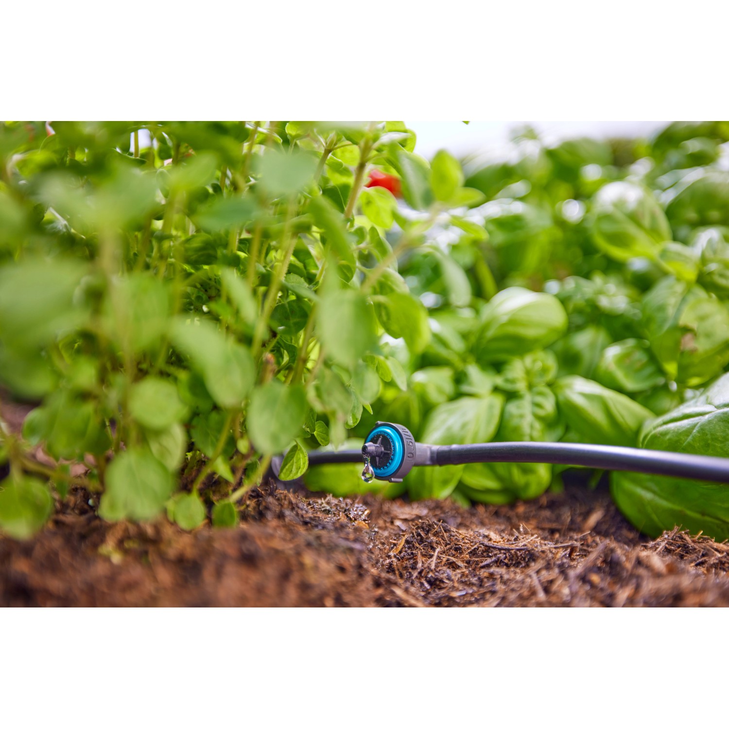 Gardena SolarBewässerung AquaBloom L Set Automatische Bewässerung