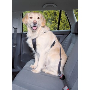 Hund mit Jollypaw Auto-Geschirr M (50-70 cm) auf dem Rücksitz eines Autos.