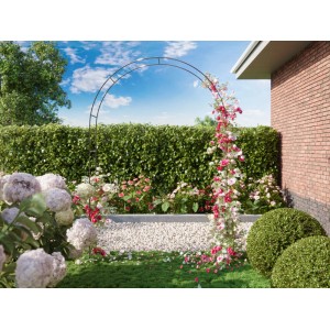 Schwarzer Rosenbogen aus Metall, 240 cm hoch, mit Rosen bepflanzt als Gartendekoration.