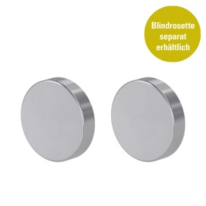 Zwei glänzende, runde Blindrosetten aus Edelstahl. Die Blindrosette ist separat für Türbeschläge erhältlich.