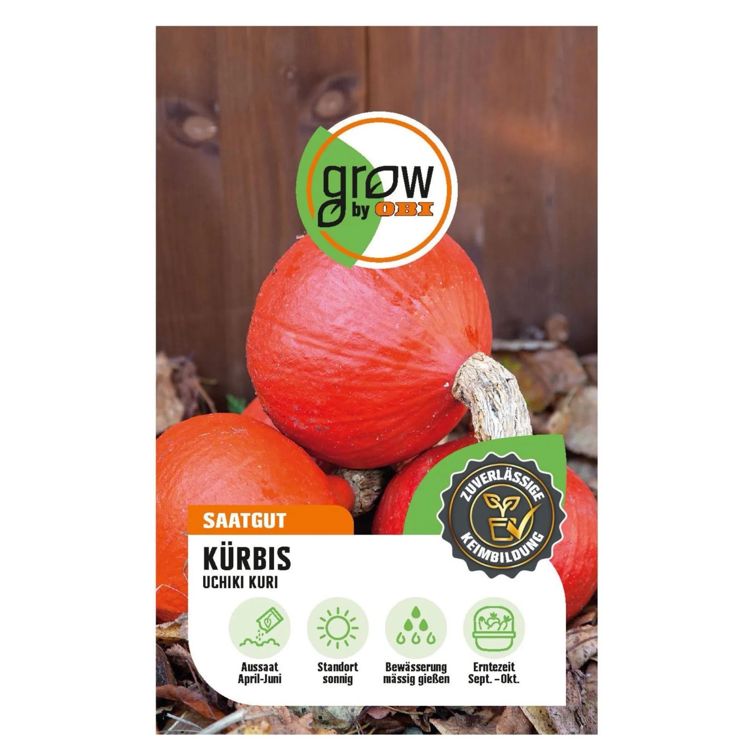 gutes saatgut 100 g Wildkruter-Saatgut