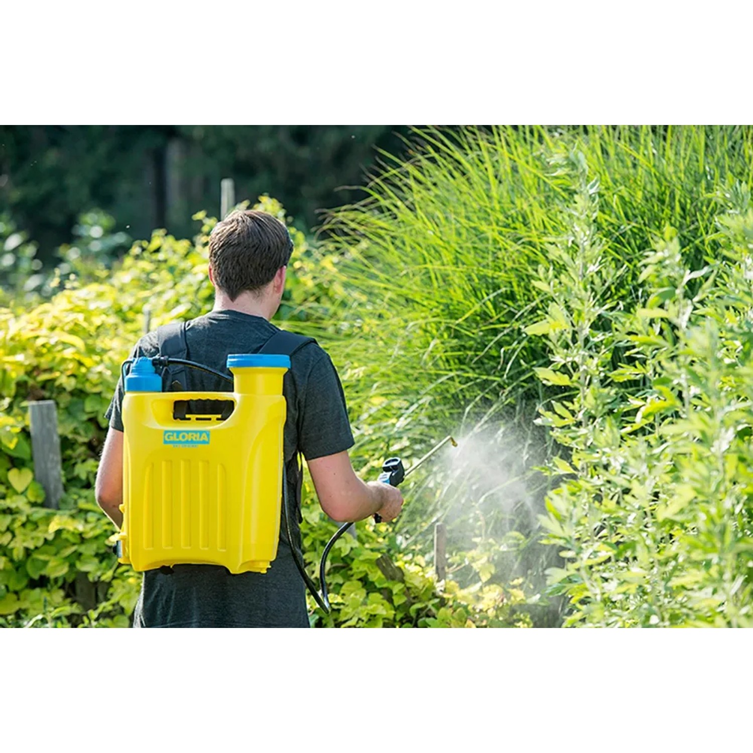 Gelber Gloria Rückensprüher Hobby 1200 (6 bar) bei der Pflanzenpflege im Garten.