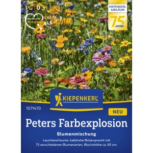 Kiepenkerl Blumenmischung Peters Farbexplosion mit bunten Sommerblumen.