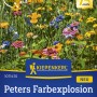 Kiepenkerl Blumenmischung Peters Farbexplosion mit bunten Sommerblumen.