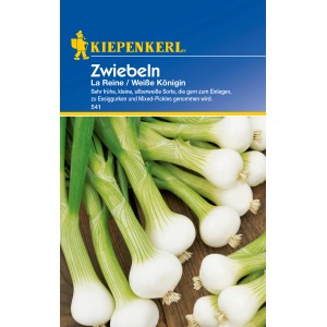Kiepenkerl Zwiebeln 'La Reine': Weiße, frühe Gemüsesamen-Sorte zum Einlegen.