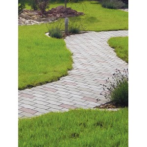 Verlegter Wellenverbund Pflasterstein Ziegelrot (5x11,1x22,2 cm) als Gartenweg zwischen Rasenflächen.