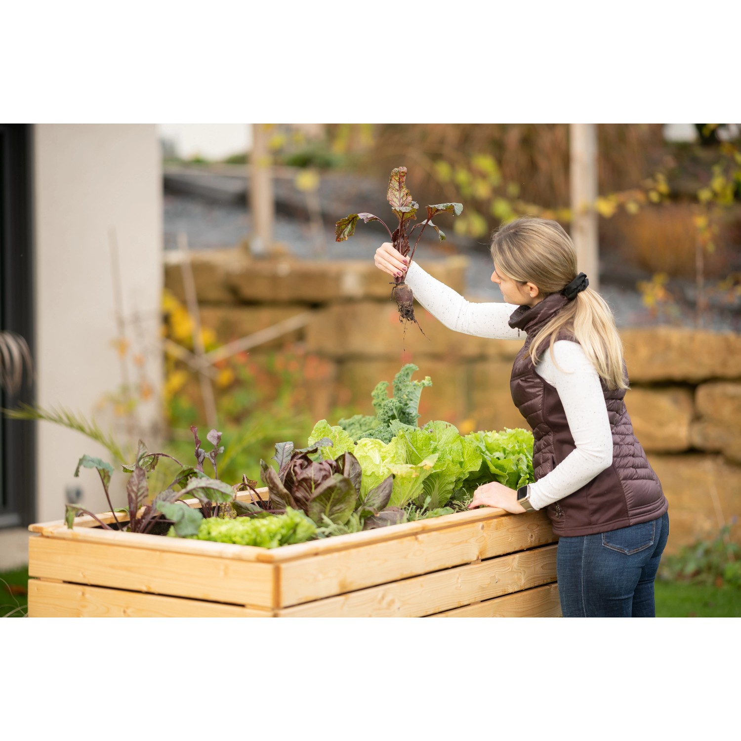 Westmann Hochbeet Fichte XL mit Bepflanzung und Frau bei der Gartenarbeit.