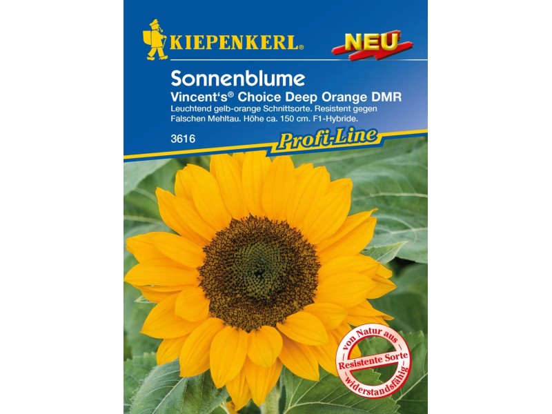 Kiepenkerl Sonnenblume "Vincent's® Deep Orange DMR" F1Hybride Orange