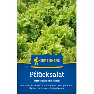 Kiepenkerl Pflücksalat Australische Gele, Gemüsesamen mit gekrausten Blättern.