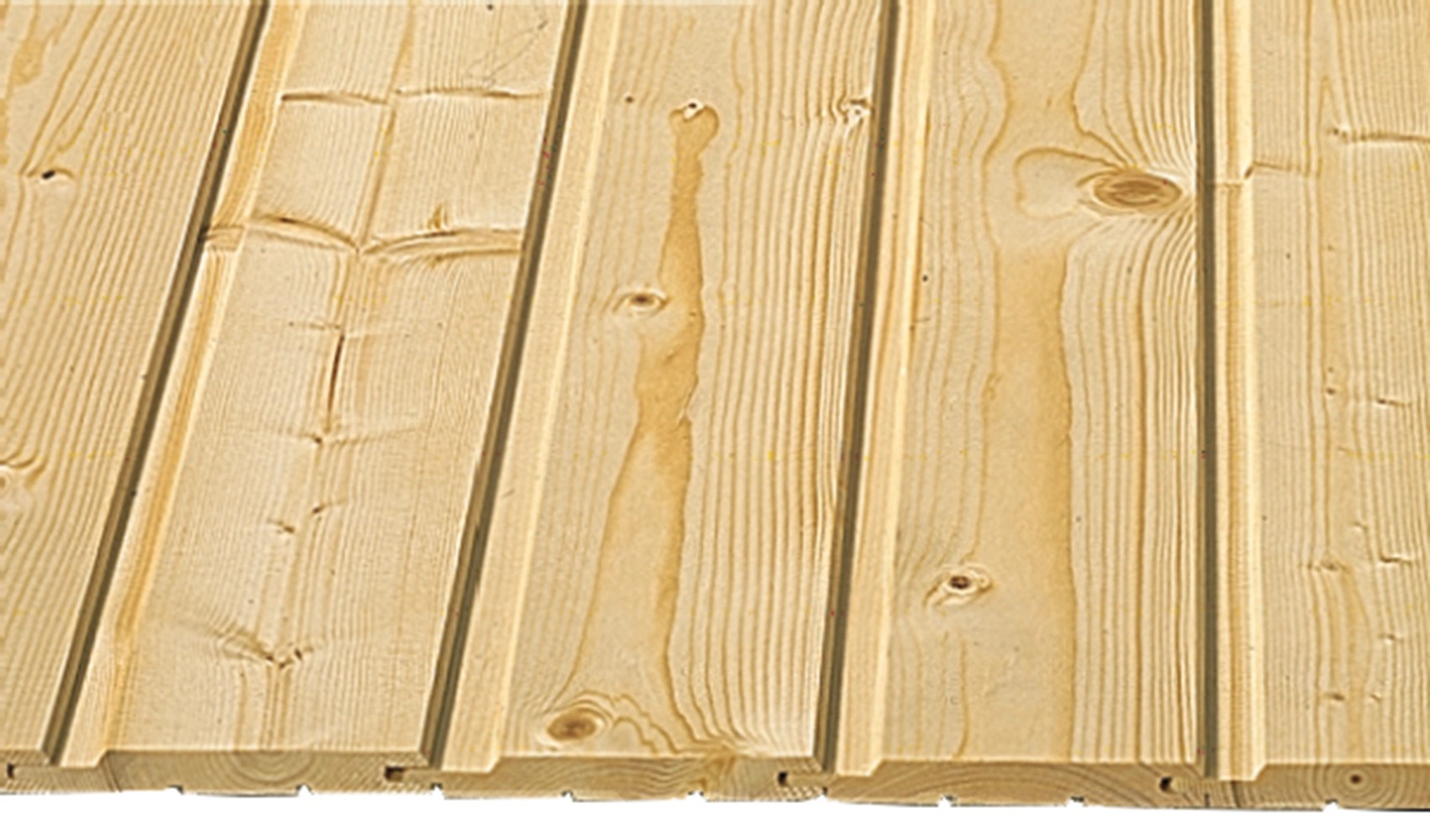 Profilbrett Nut und Feder 12,5 mm x 96 mm x 4000 mm kaufen bei OBI