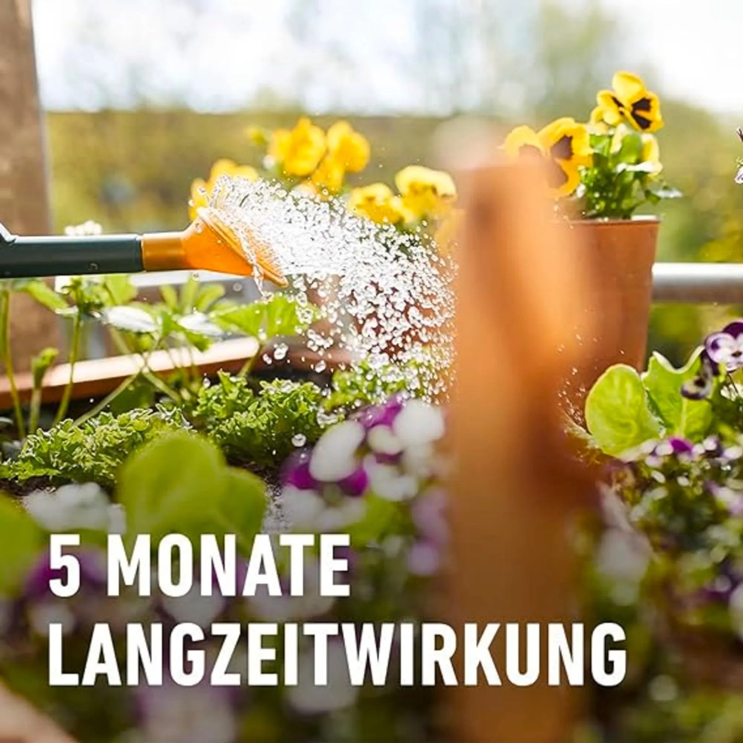 Compo Bio Hochbeet Langzeit-Dnger mit Schafwolle 750 g kaufen bei OBI