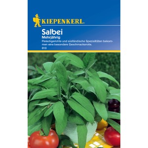 Kiepenkerl Salbei Echter Salbei im Topf, grüne Blätter. Kräutersamen für Garten und Küche.