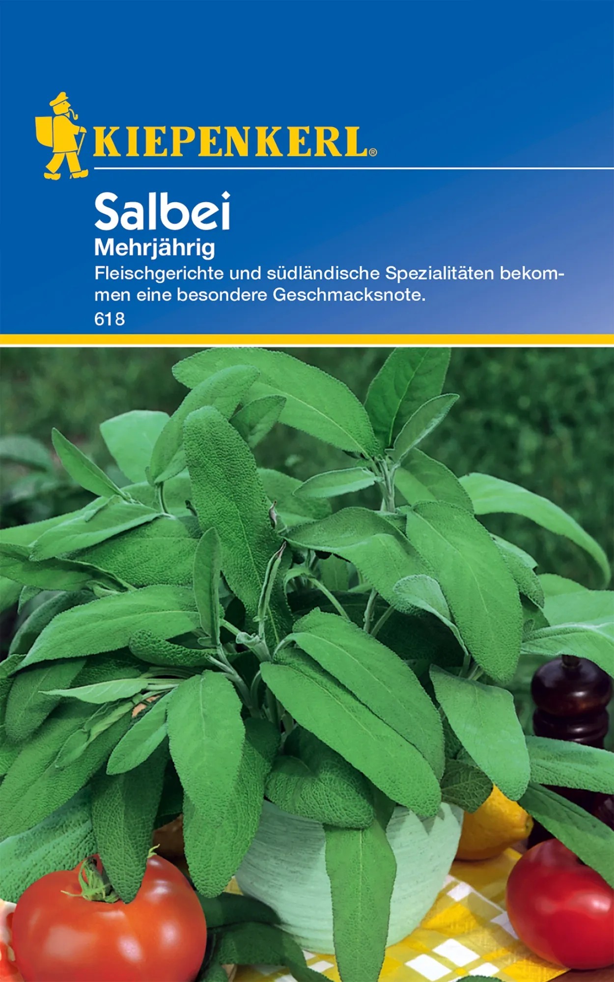 Kiepenkerl Salbei "Echter Salbei" kaufen bei OBI