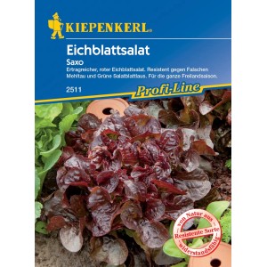 Kiepenkerl Eichblattsalat Saxo Samen, rot-grüner Salat für den Garten.