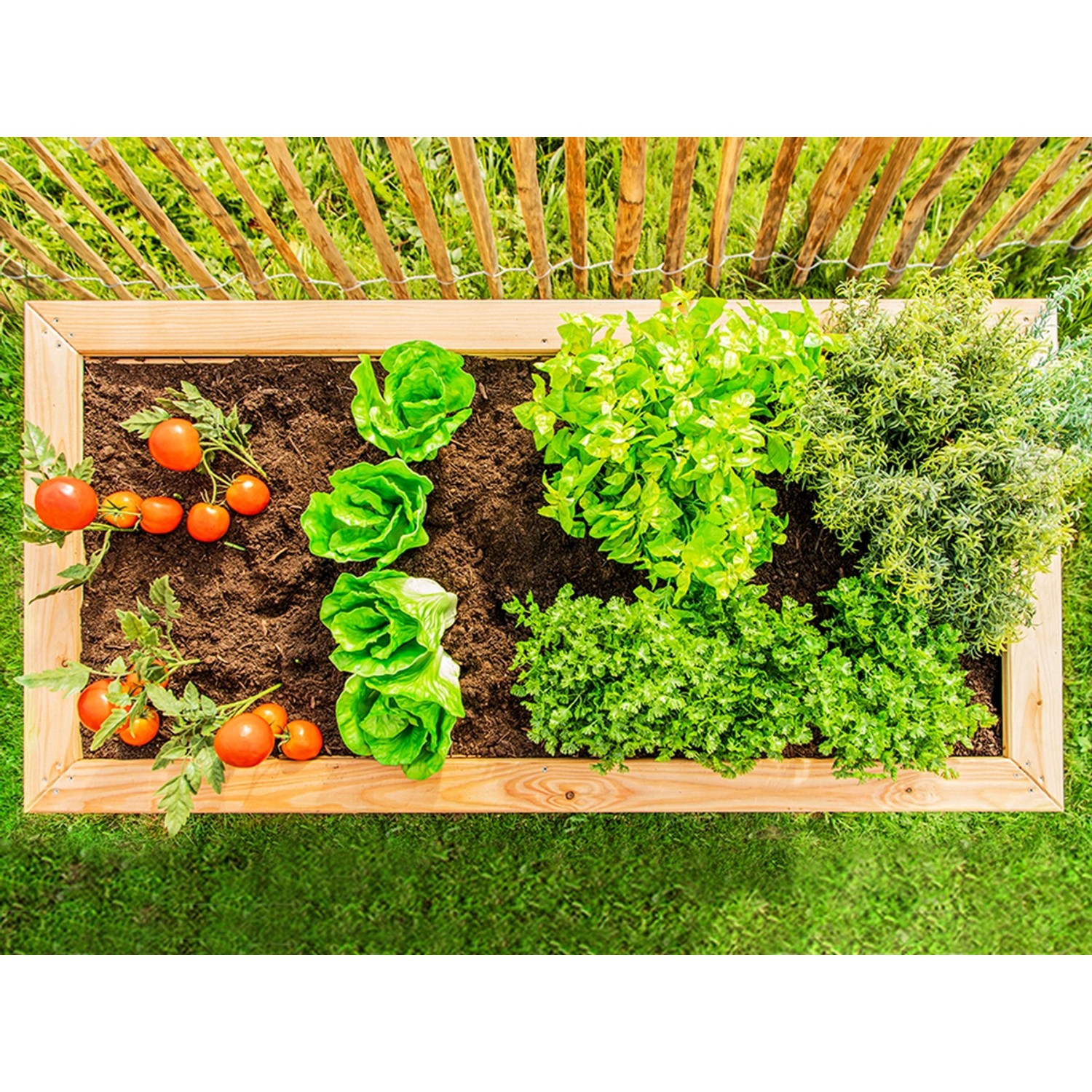 Westmann Hochbeet aus Lärche, bepflanzt mit Gemüse und Kräutern, Aufsicht.