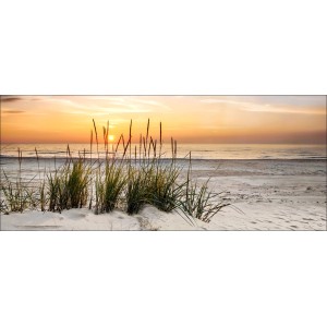 Dekopanel Lonely Dune: Strandhafer in Dünenlandschaft bei Sonnenuntergang, 50x125 cm.