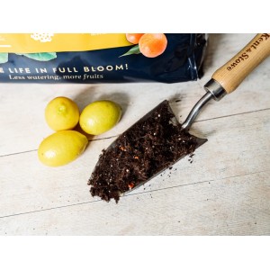 Westland Zitruspflanzenerde Torffrei mit Seramis 8 l