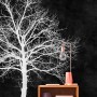 Fototapete Baum Wald Blackboard schwarz-weiß, 4,00x2,70m, mit Nachttisch und Lampe.