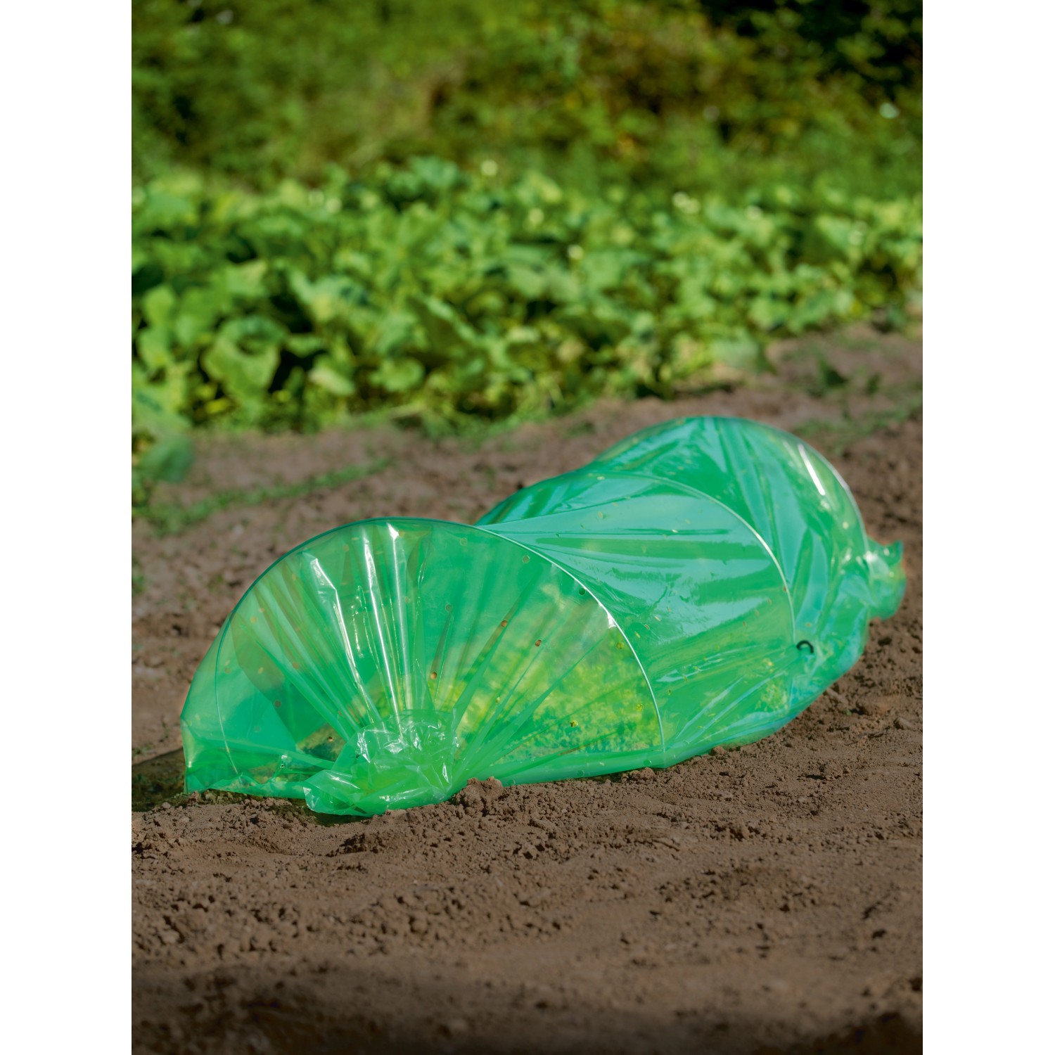 Grüner Folientunnel 1,2 m x 3 m schützt Pflanzen im Gartenbeet.