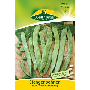 Samenpackung Quedlinburger Stangenbohnen Hilda mit grünen, flachen Bohnen.