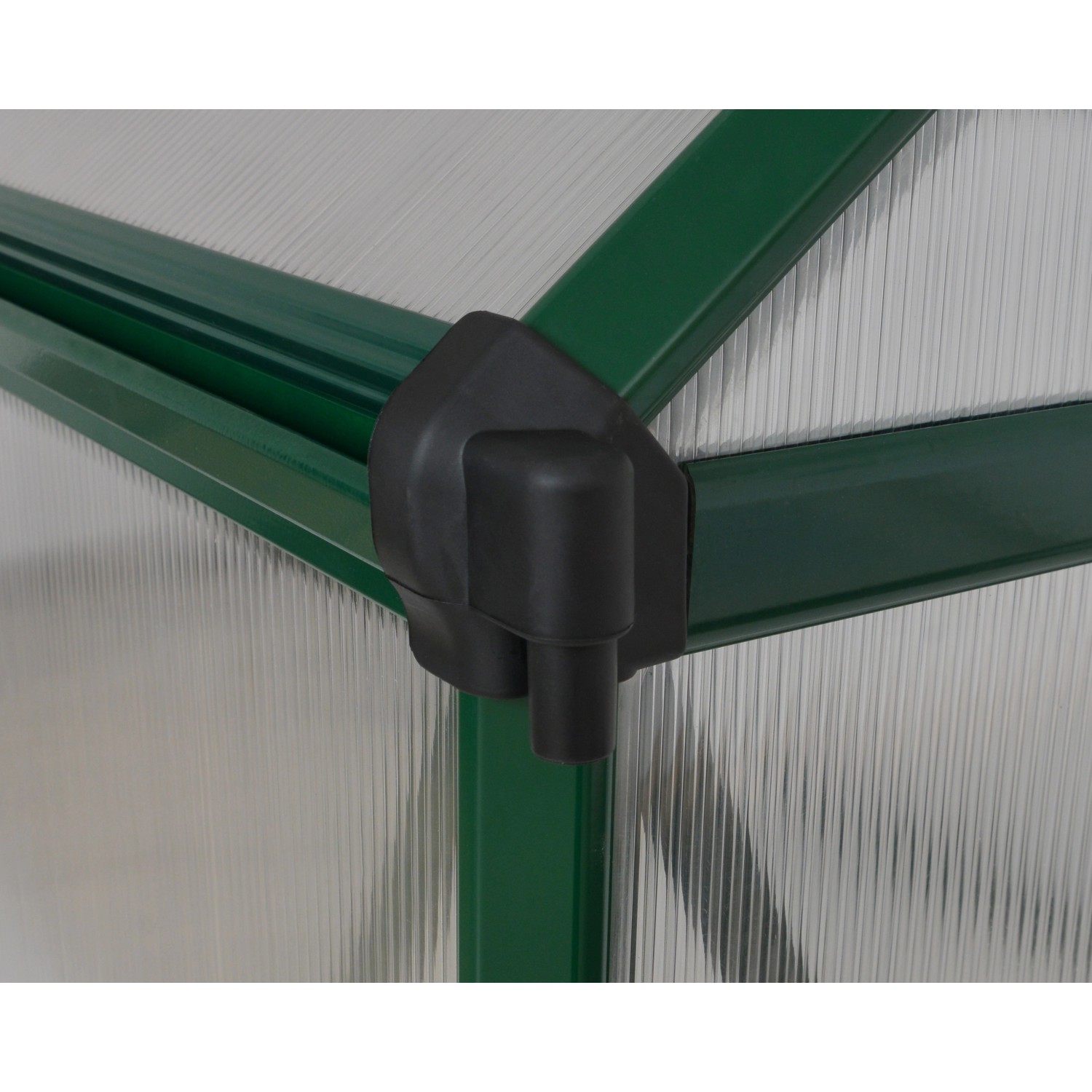 Detailaufnahme: Grüne Ecke und transparente Wand des CANOPIA by PALRAM Gewächshaus Mythos.