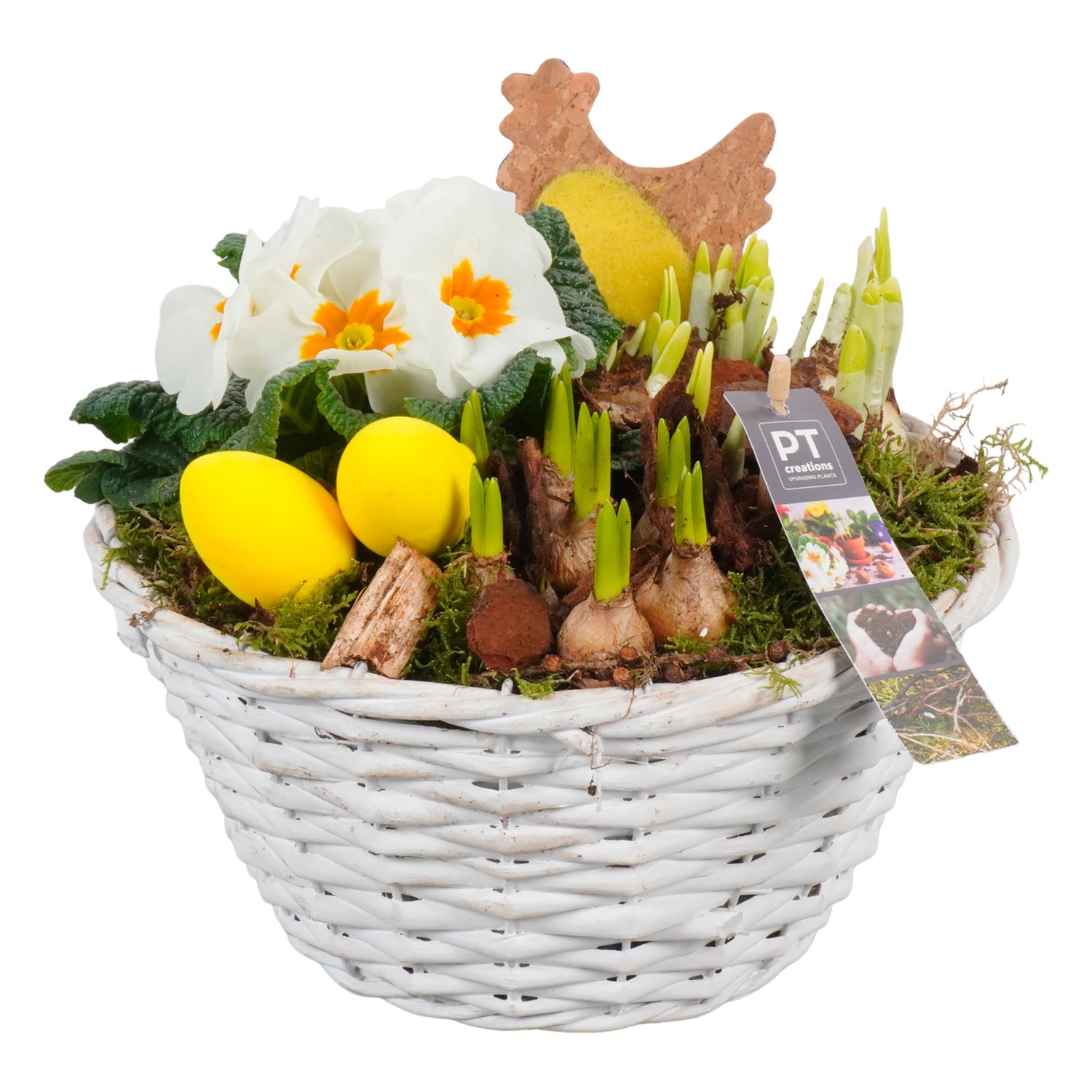 FrühblüherArrangement im weißen KorbGefäß TopfØ ca. 24 cm kaufen bei OBI