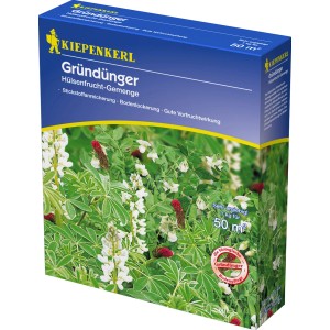 Kiepenkerl Gründünger Hülsenfruchtgemenge, 1 kg Packung mit blühenden Pflanzen.