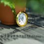 Pergart Hygrometer: Analoges Messgerät für Temperatur und Luftfeuchtigkeit im Gewächshaus.