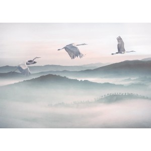 Komar Fototapete Vlies Mystic Cranes 400 x 280 cm