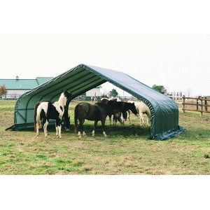 Grünes ShelterLogic Weidezelt mit Pferden, 40,87 m², ideal als Unterstand oder Lagerzelt.