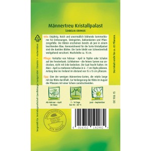 Samenpackung Quedlinburger Männertreu Kristallpalast, blau blühende Sommerblume für Beet und Balkon.