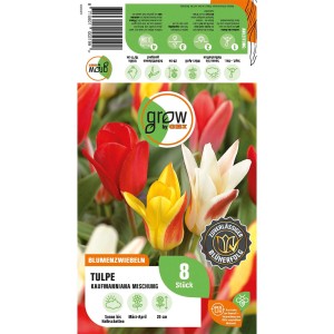 Verpackung der GROW by OBI Tulpen Peacock Mischung mit roten, gelben und weißen Tulpen.
