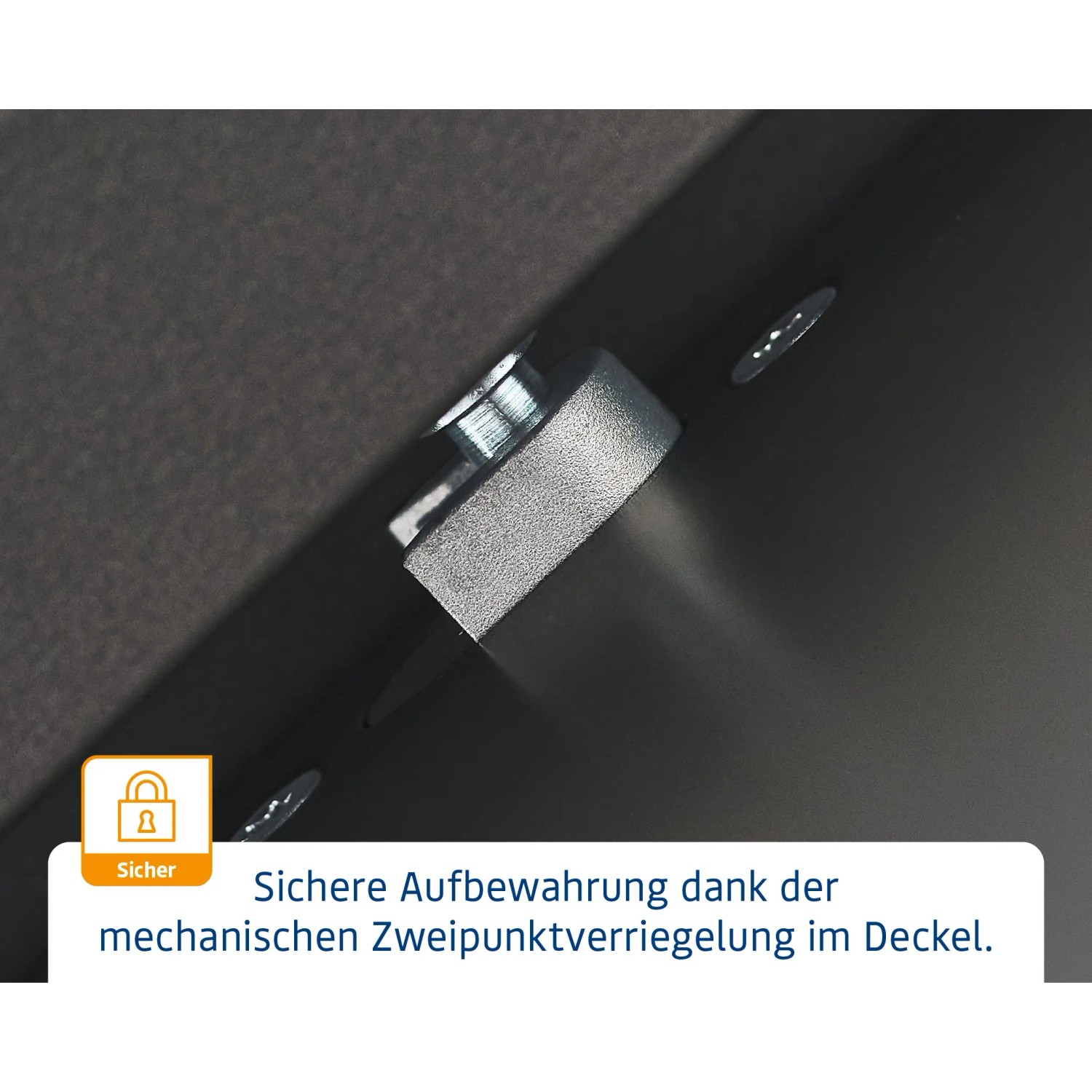 Detailaufnahme: Zweipunktverriegelung der EcoStar Gartenbox für sichere Aufbewahrung.
