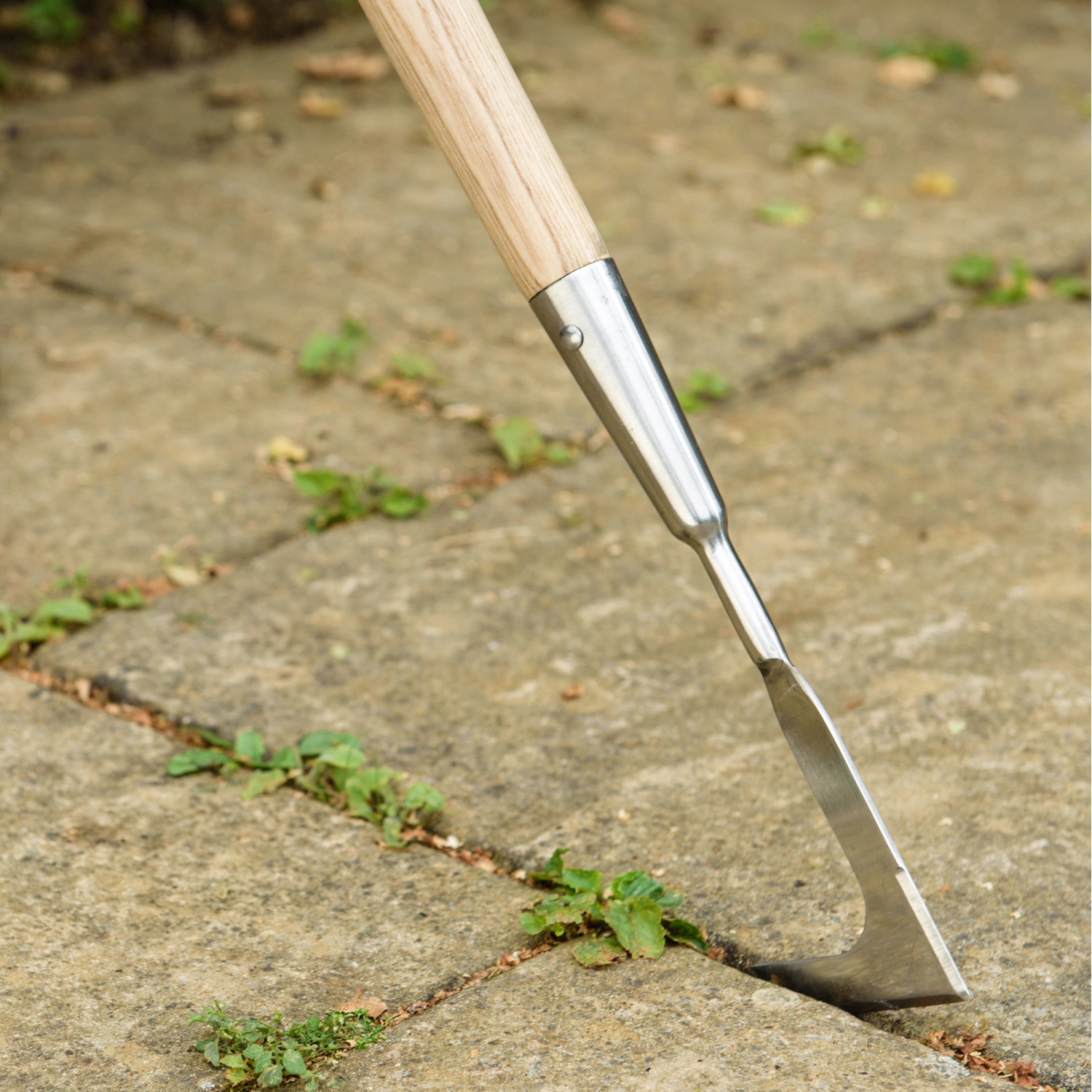 QWORK Fugenkratzer Edelstahl - Unkrautstecher Mit Ergonomischem Griff
