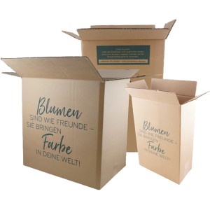 Versandkartons für GROW by OBI Hängepflanze Süßkartoffelblume im Farbmix.