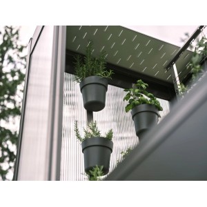 Biohort Wetterschutzblech für Florentina Gewächshaus, dunkelgrau-metallic, mit Pflanzen in Töpfen.