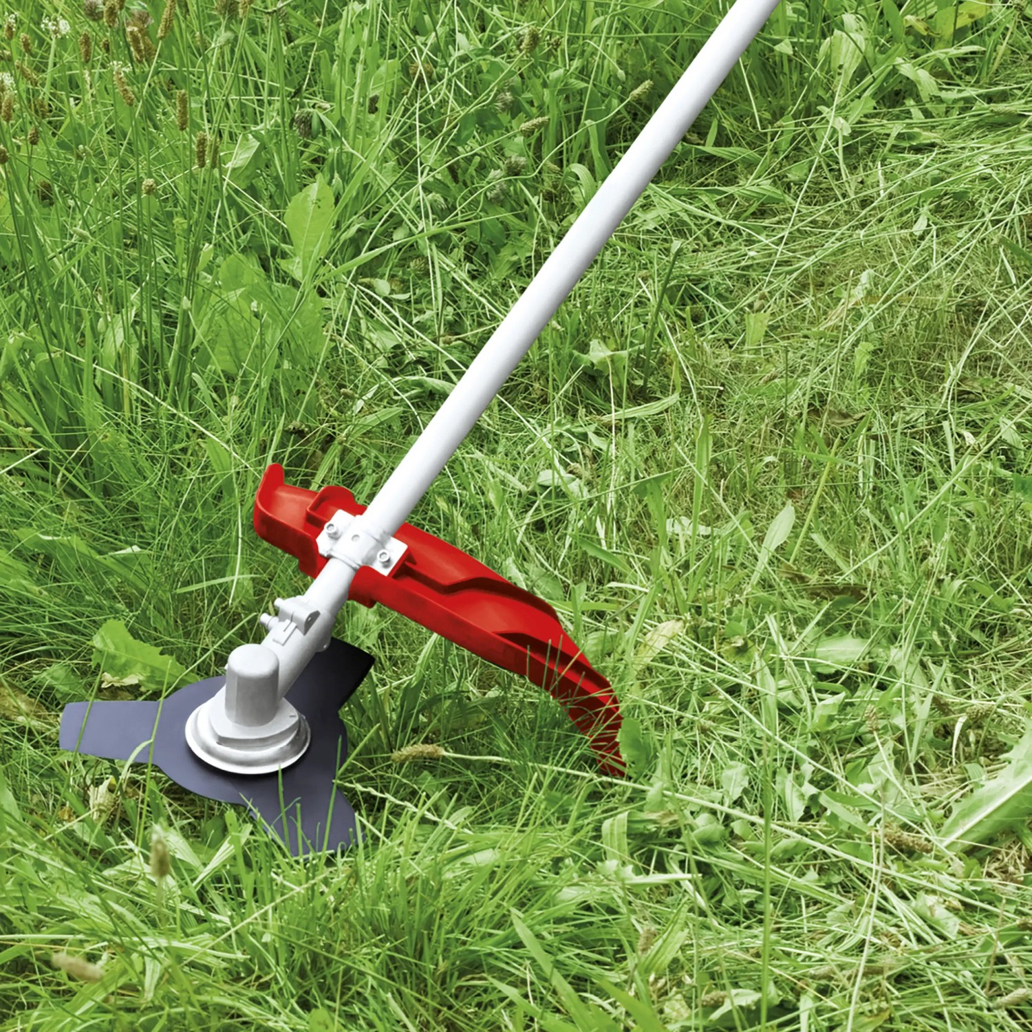 Einhell GC-MM 52 I AS Benzin-Multifunktionswerkzeug mit 3-Zahn-Messer im Gras.