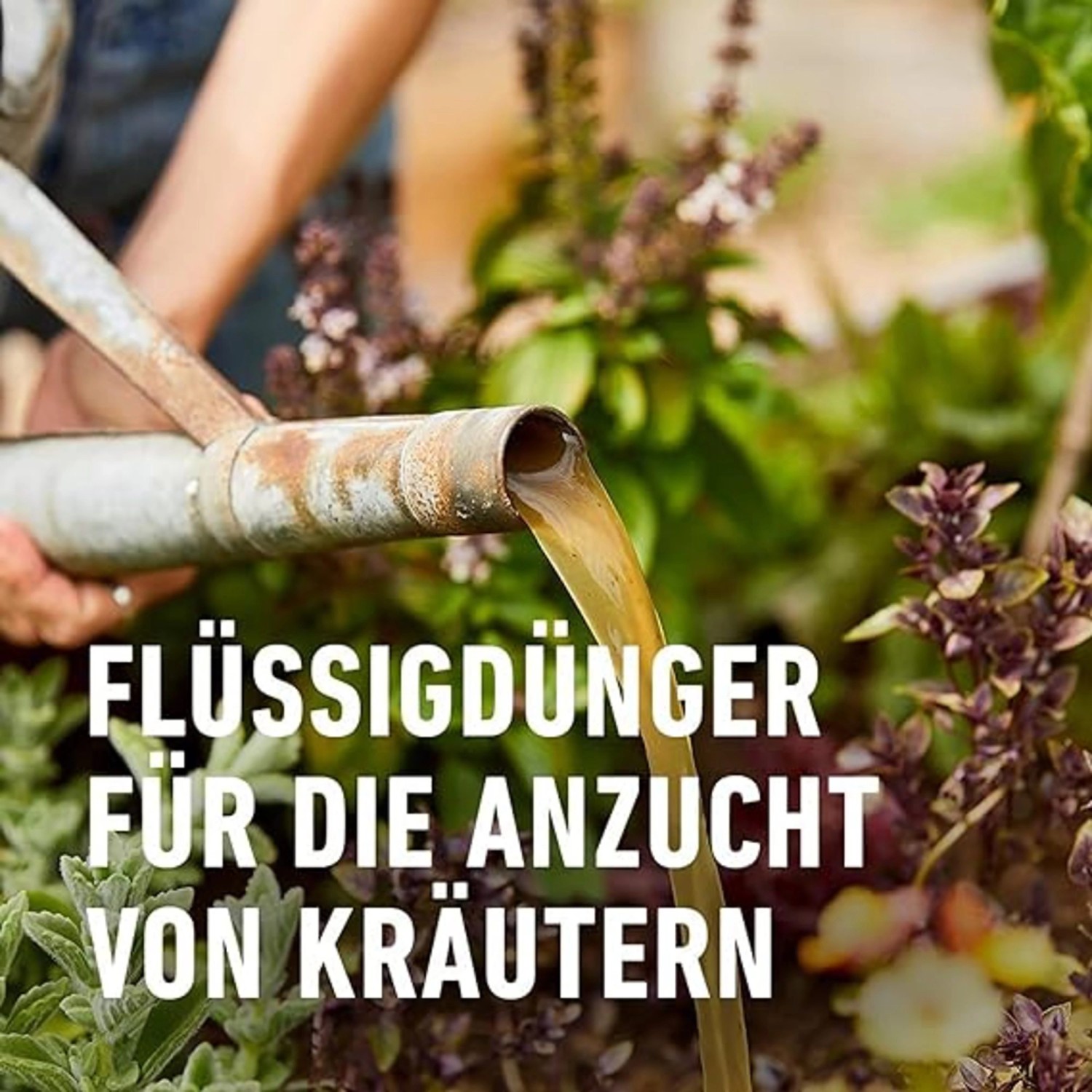 Compo Bio Kräuterdünger 500 ml_4