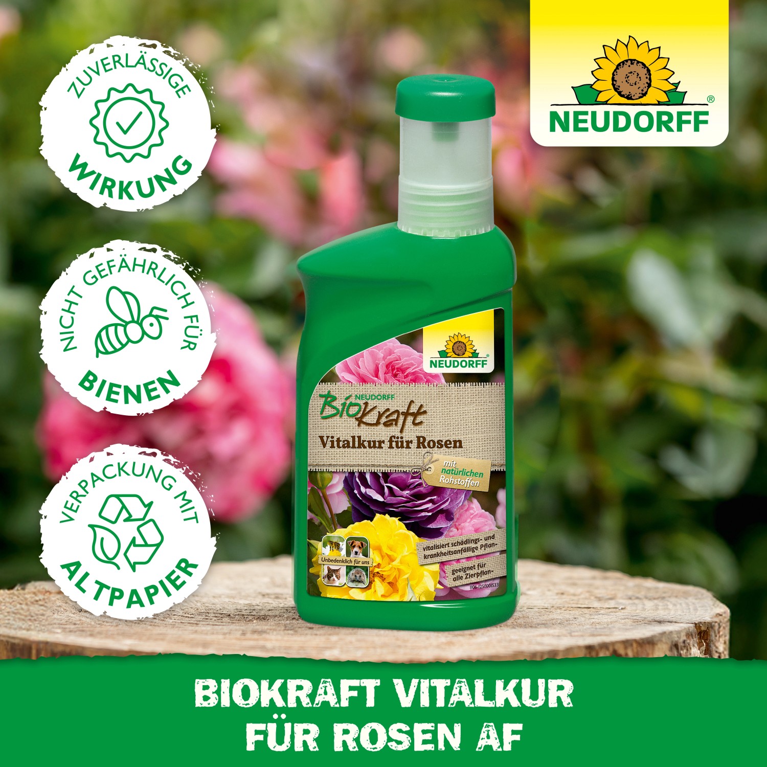 Neudorff BioKraft Vitalkur für Rosen, 300ml Flasche, Pflanzenstärkungsmittel für vitalere Rosen.