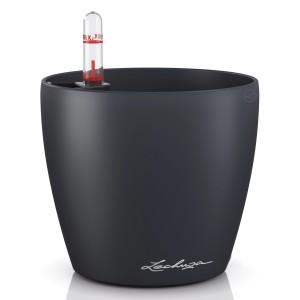 Lechuza Classico Color Pflanzgefäß, Ø 13 cm, schiefergrau, mit Bewässerungssystem.
