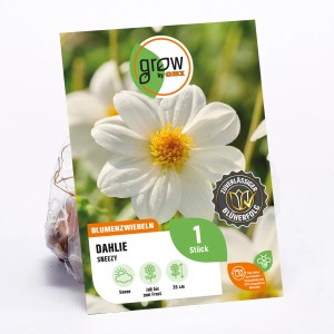 Verpackung der GROW by OBI Dahlie Sneezy, einer weißen Dahlie mit gelber Mitte, Höhe ca. 35cm.