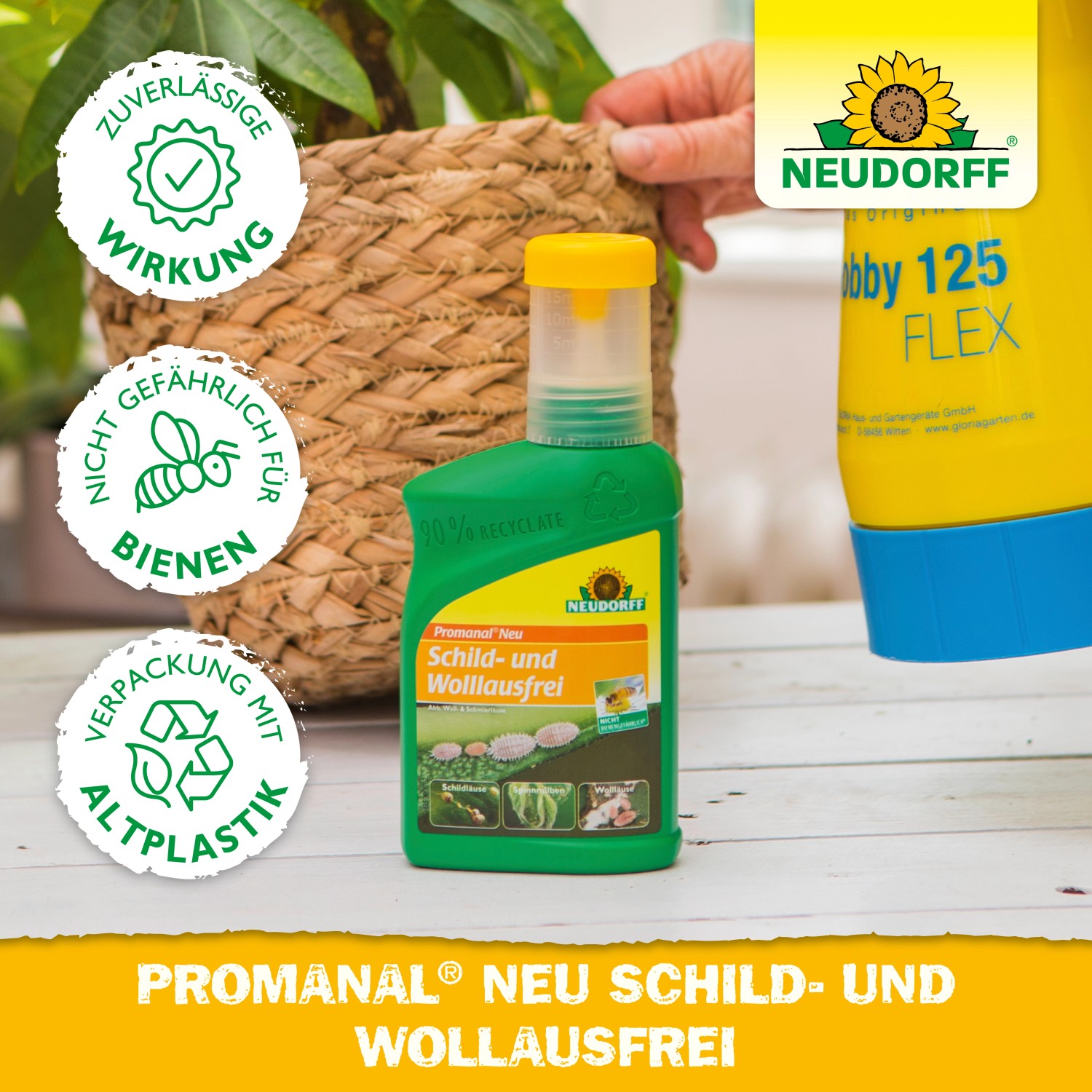 Neudorff Promanal Neu Schild- und Wolllausfrei 250ml: Mittel gegen Schildläuse und Wollläuse für Zierpflanzen.