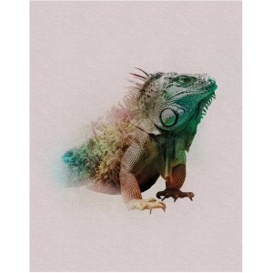 Komar Wandbild Animals Iguana, 40x50 cm. Detailreiche Darstellung einer grünen Leguan auf Leinwand.