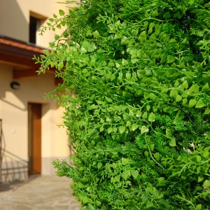 Tenax künstliche Hecke Divy 3D Fern, 0,5x1m, Grün, für Balkon und Garten als Sichtschutz.