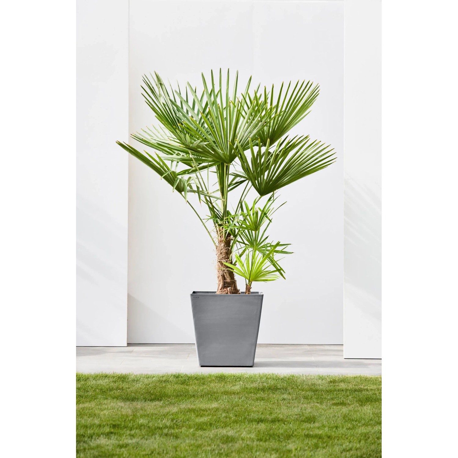 Ecopots Pflanztopf Rotterdam Rollen Grau (HxBxT) 49,7 x 50 x 50 cm kaufen  bei OBI