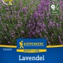 Kiepenkerl Duft-Lavendel Hidcote Blue Strain Blau im Detail.