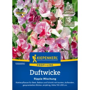 Kiepenkerl Saatgut Duftwicke Ripple Mischung