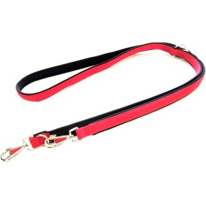 Rote Heim Hundeleine mit Neoprenfutter, 200cm lang und 20mm breit.